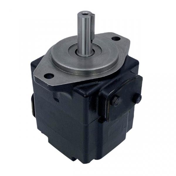 Rexroth Replacement Hydraulic Pump A10vo/A2fo/A2f/A4vtg/A4vso/A6V/A7vo/A8vo/A11vo/A11vlo #1 image